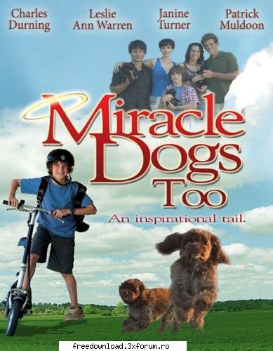 miracle dogs too (2006)  



 
 
 
 
 
 
 
    m&n miracle dogs too (2006)